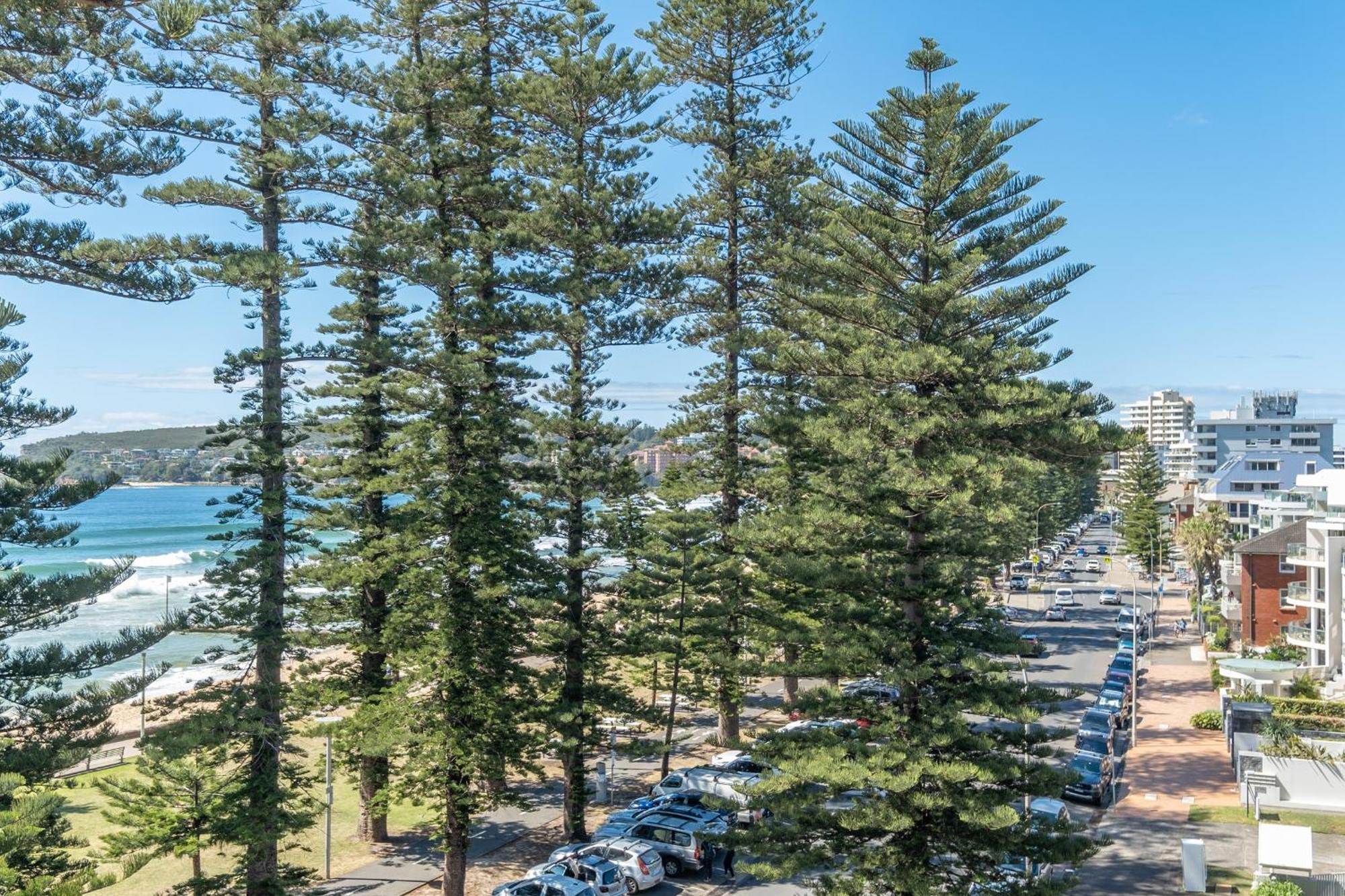 Premium Beachfront With Unbelievable Views Apartment *